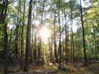 Greenbelt Park
