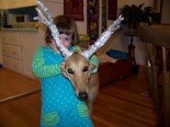 Halloween 2012