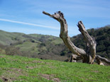 Livermore